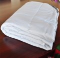 Bamboo Charcoal Duvet Insert