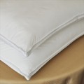 Allergy-Shield s Anti-Dustmite Microfiber 300 TC Pillow,set of two pillows